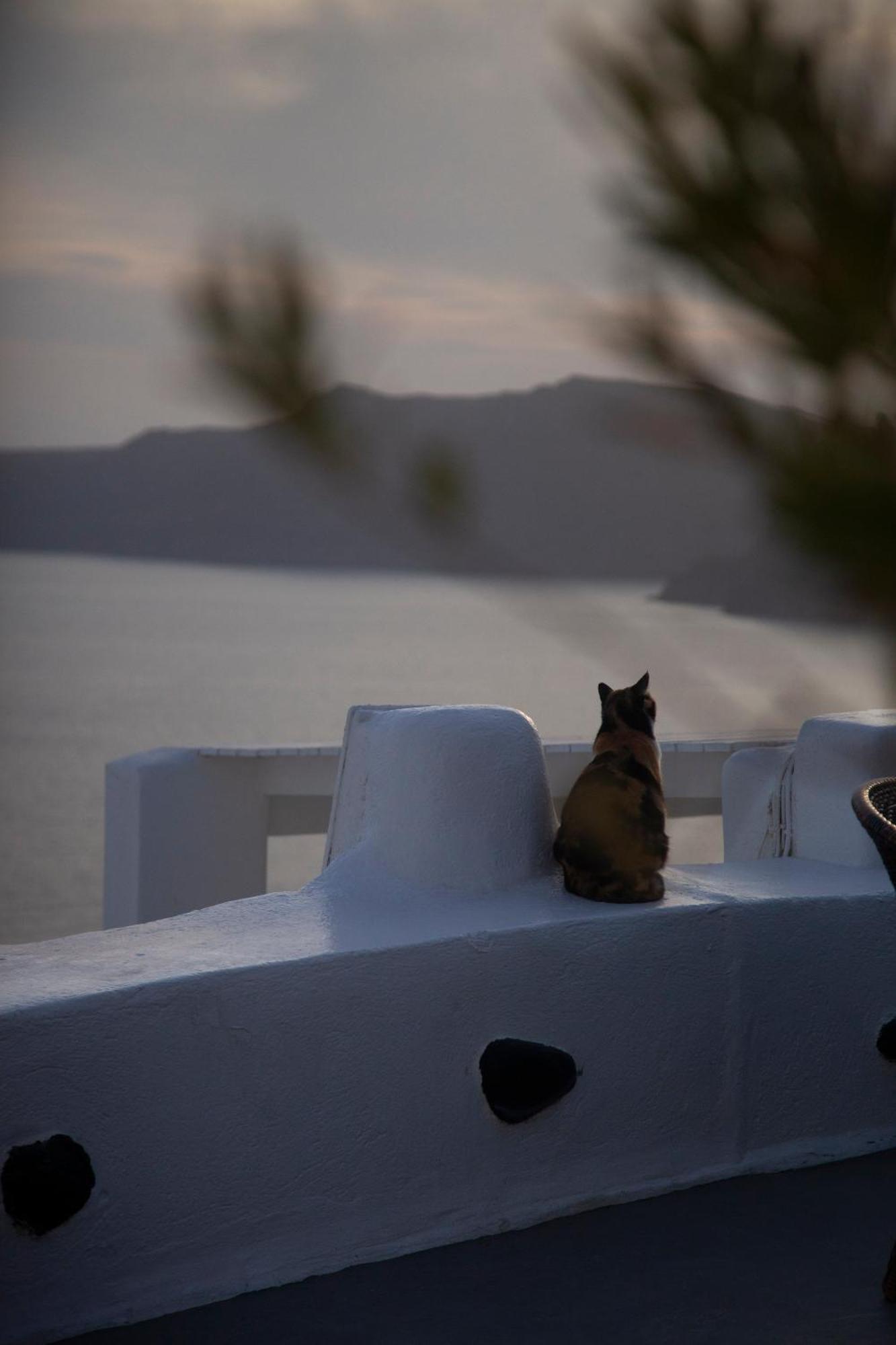Alexander's Oia (Santorini)